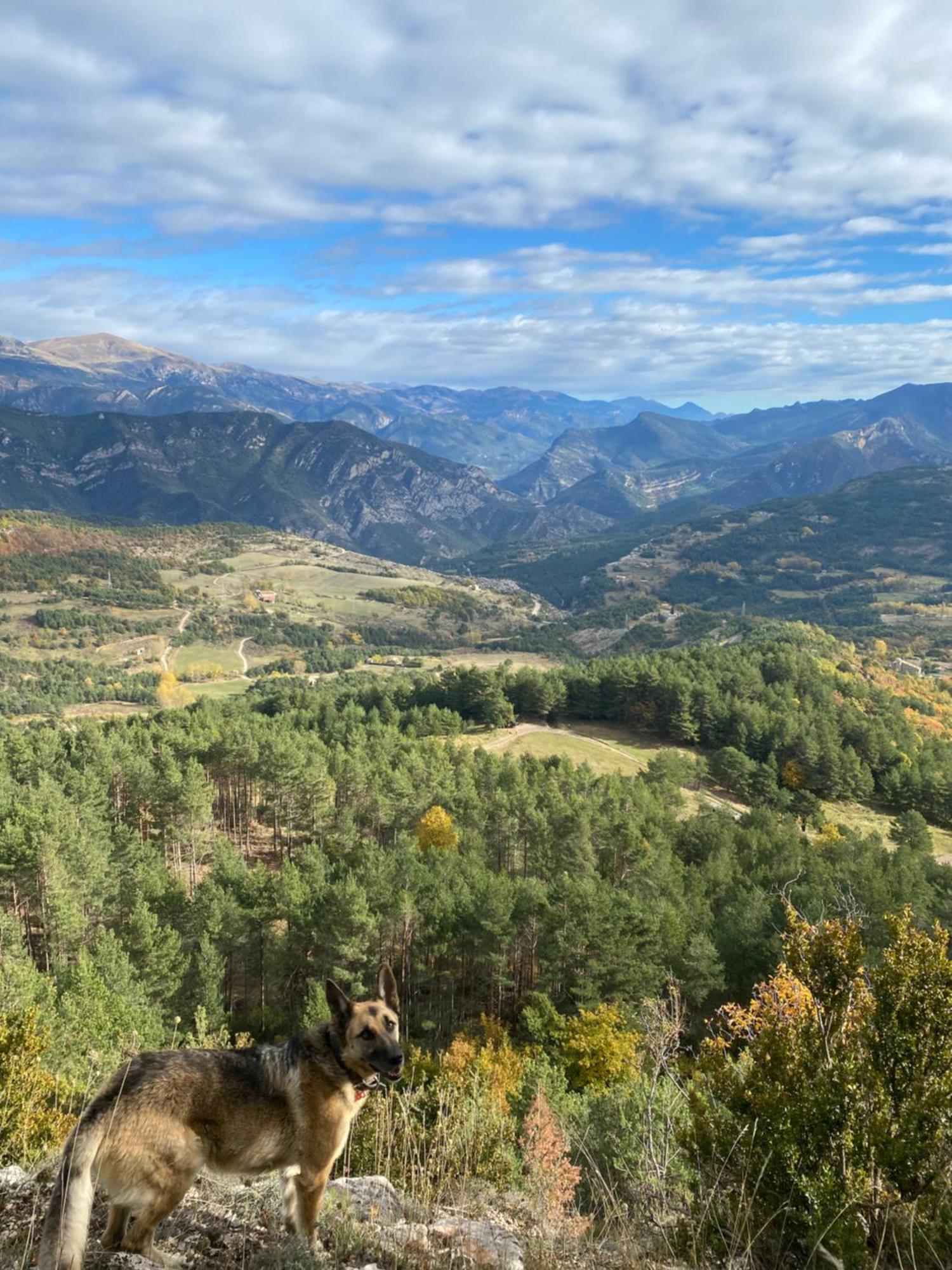 Cal Carol Leilighet Vallcebre Eksteriør bilde