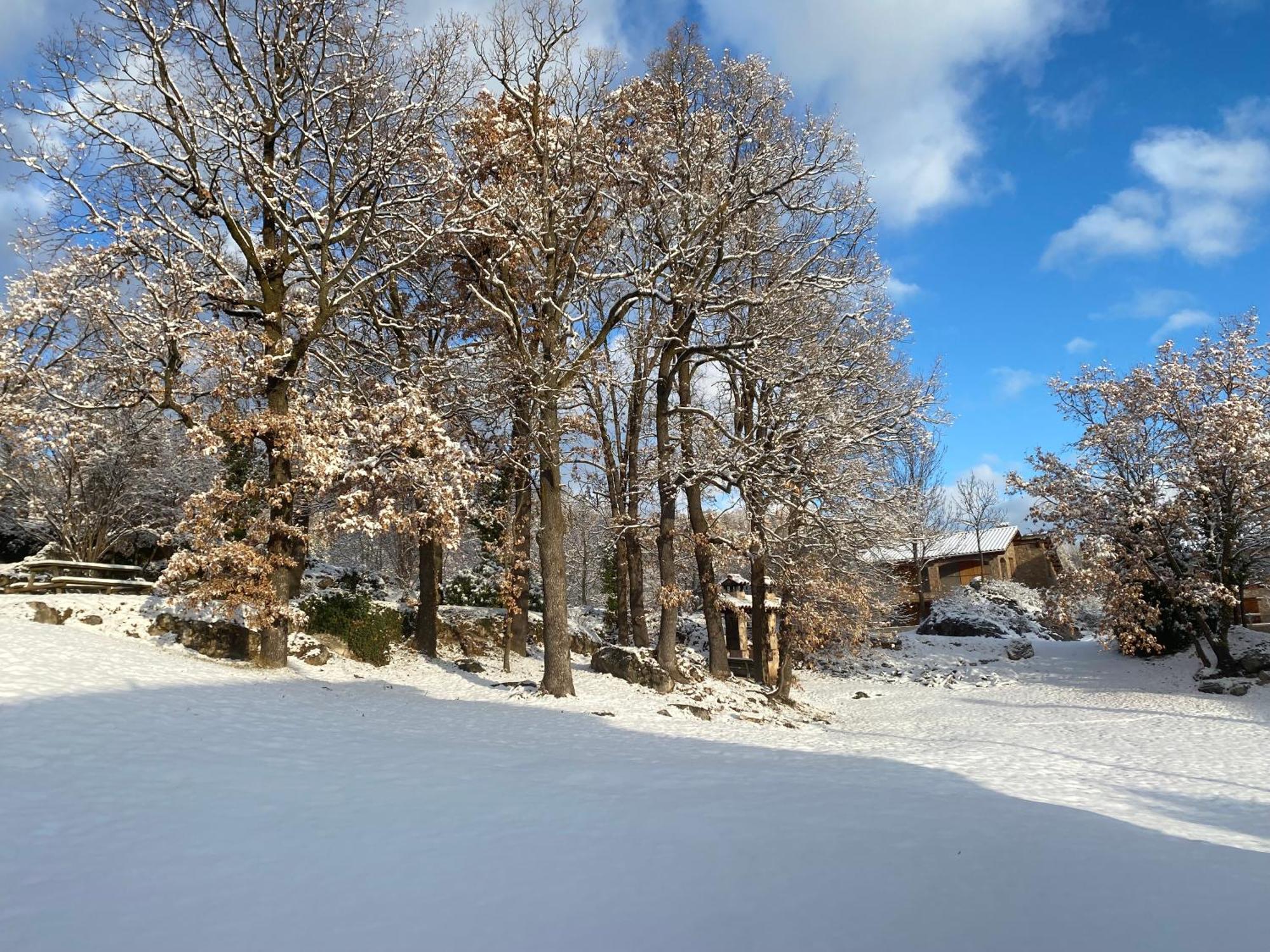 Cal Carol Leilighet Vallcebre Eksteriør bilde