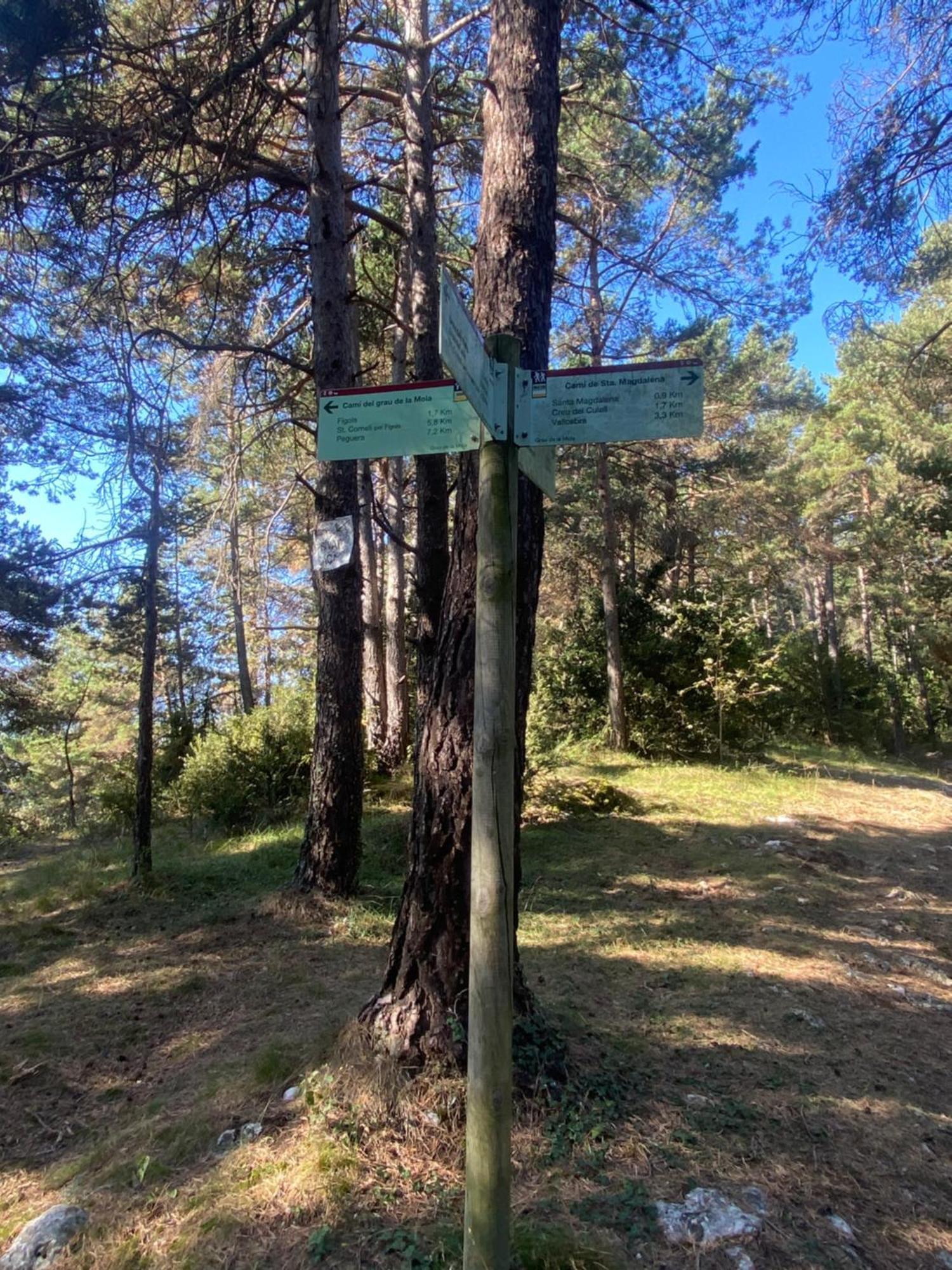 Cal Carol Leilighet Vallcebre Eksteriør bilde